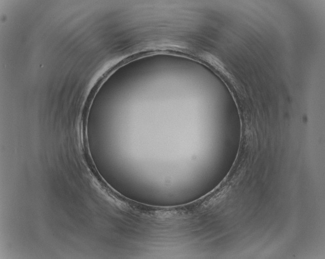 X0000074261032200609081731