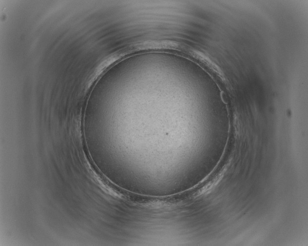 X0000074261033200609081731