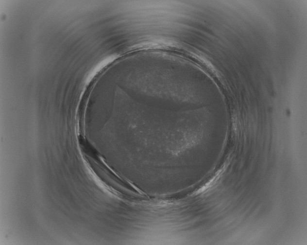 X0000074261034200609081731