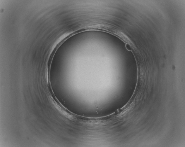 X0000074261036200609081731