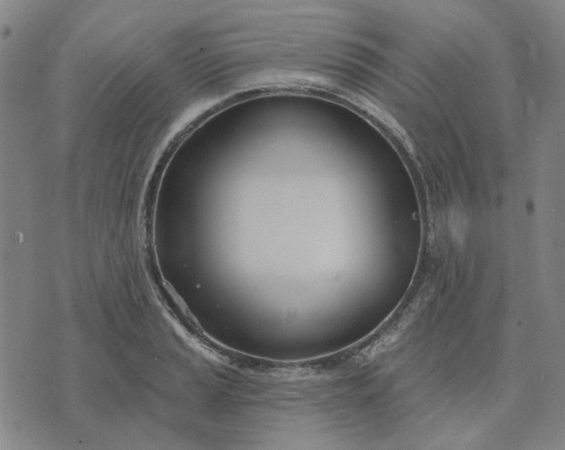 X0000074261037200609081731