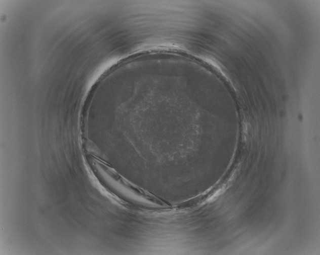 X0000074261038200609081731