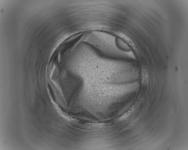 X0000074261039200609081731