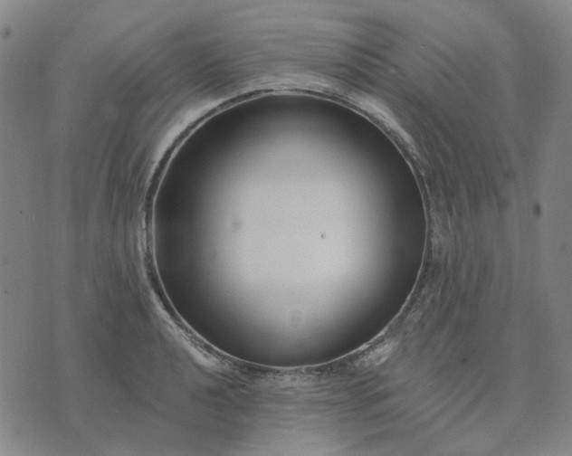 X0000074261040200609081731