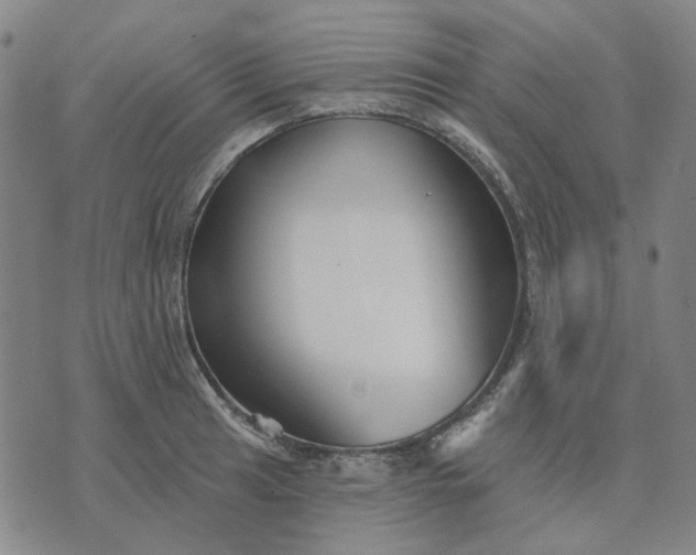 X0000074261041200609081731