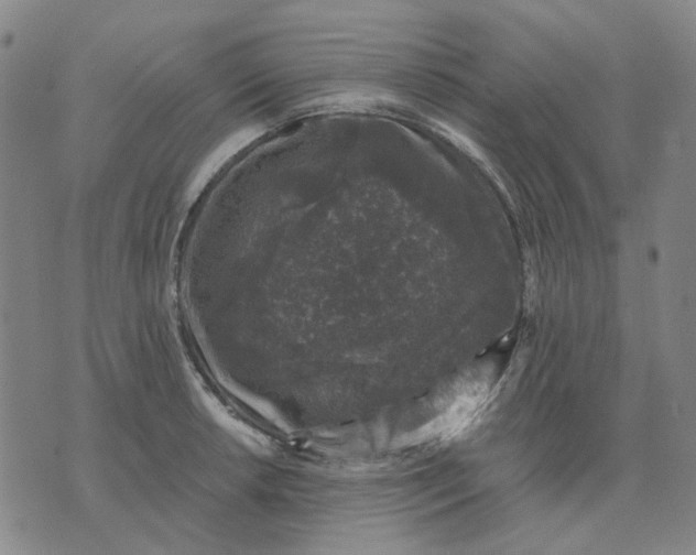 X0000074261042200609081731