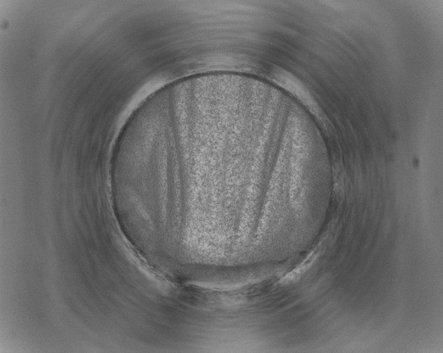 X0000074261043200609081731