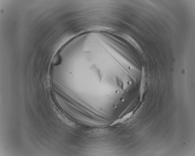 X0000074261044200609081731