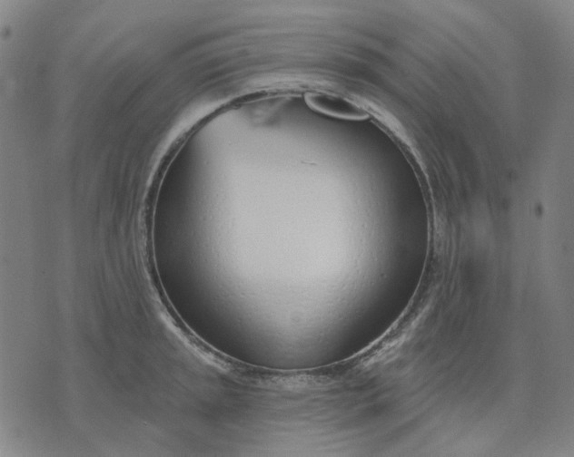 X0000074261045200609081731