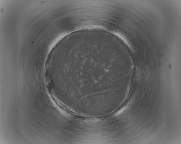 X0000074261046200609081731