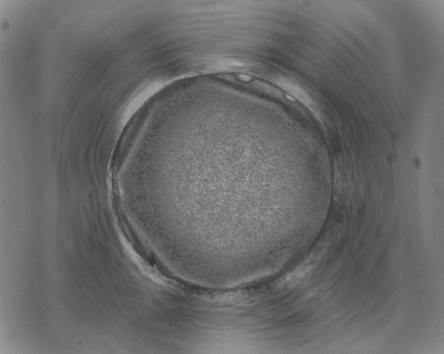 X0000074261047200609081731