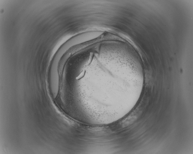 X0000074261048200609081731