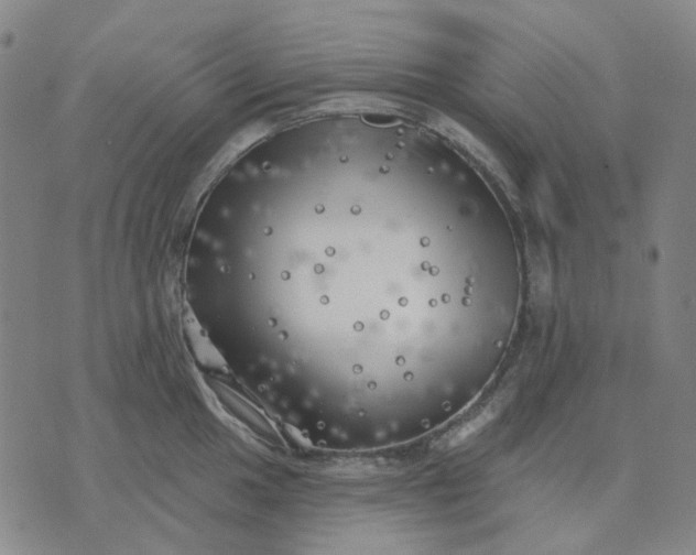 X0000074261049200609081731