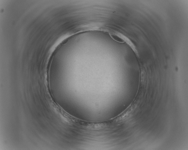 X0000074261051200609081731