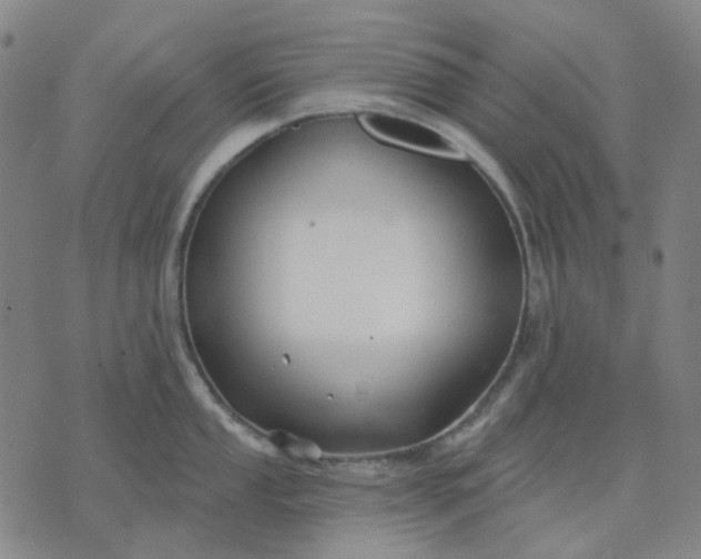 X0000074261053200609081731