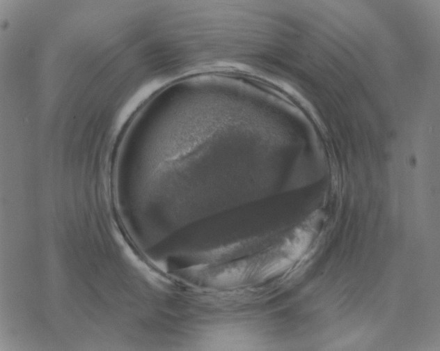 X0000074261054200609081731