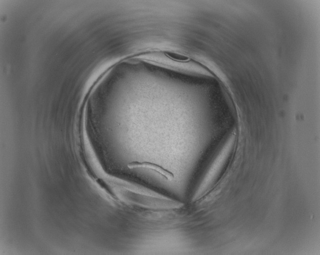 X0000074261056200609081731