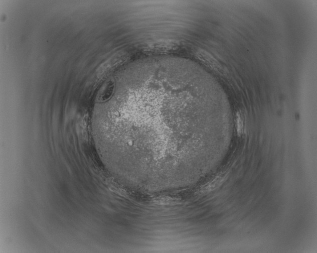 X0000074261059200609081731