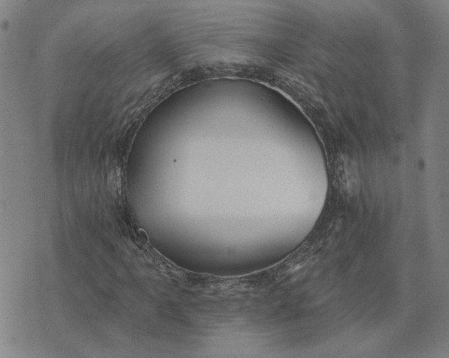 X0000074261061200609081731