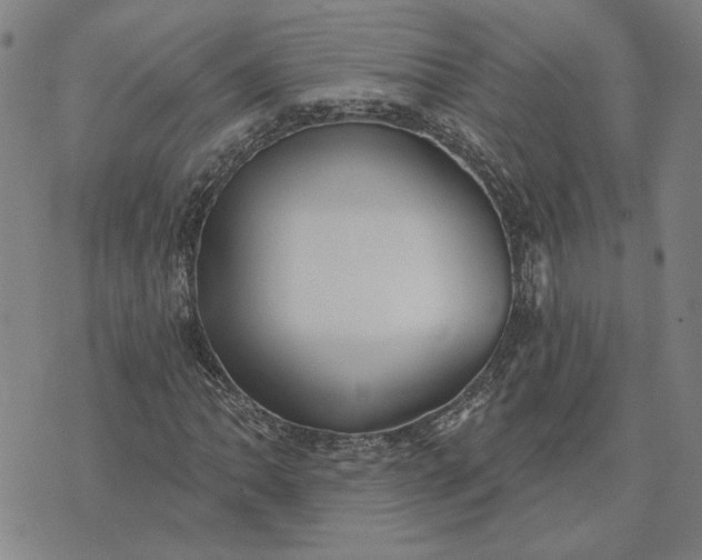 X0000074261062200609081731