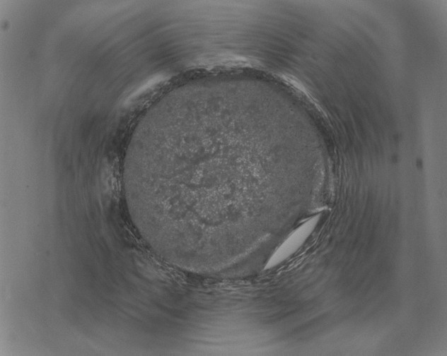 X0000074261063200609081731