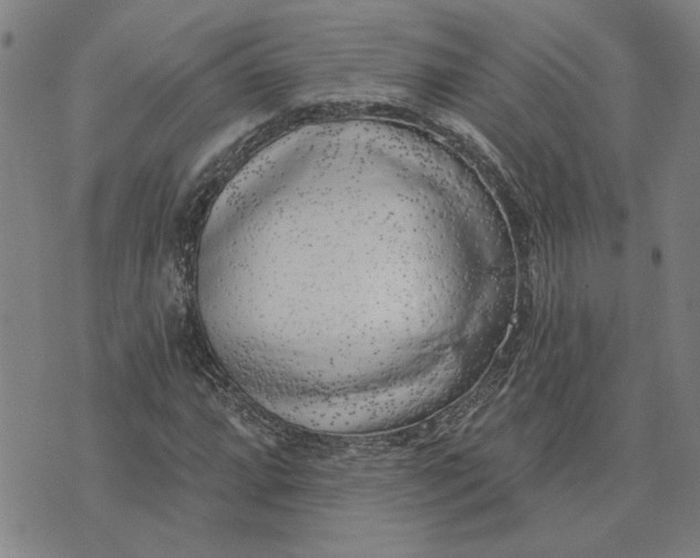 X0000074261064200609081730