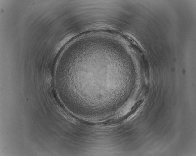 X0000074261065200609081730