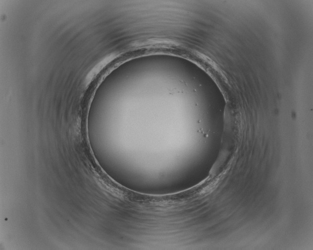 X0000074261066200609081730