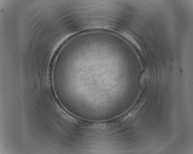 X0000074261068200609081730