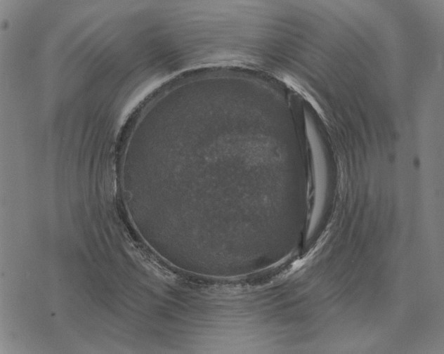 X0000074261069200609081730