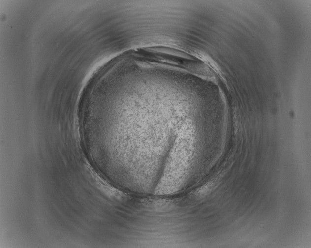 X0000074261072200609081730