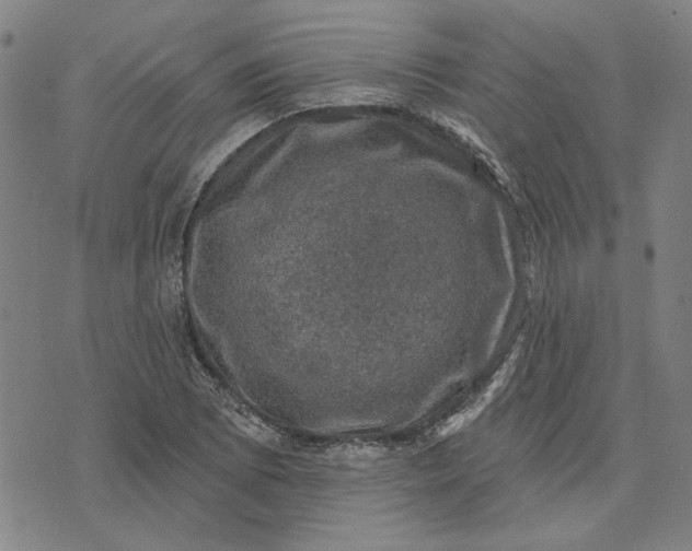 X0000074261073200609081730