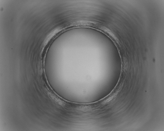 X0000074261075200609081730