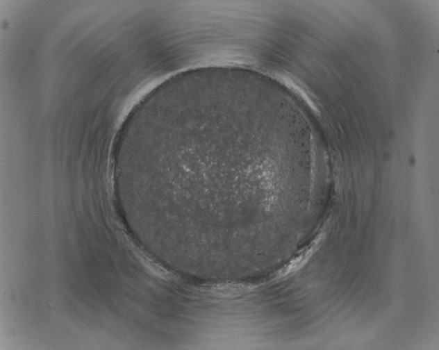 X0000074261077200609081730