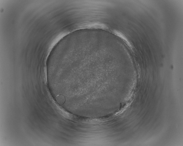 X0000074261079200609081730