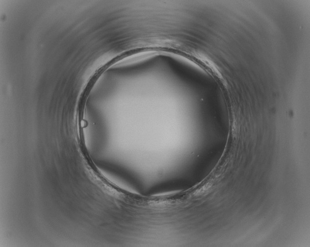 X0000074261080200609081730