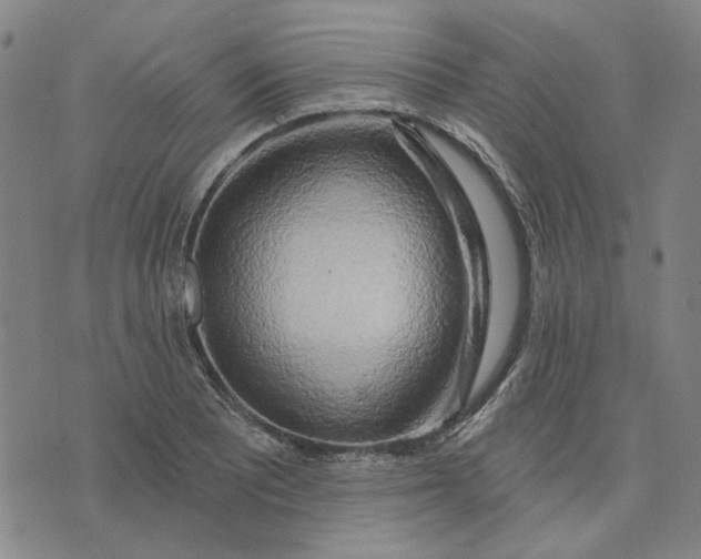 X0000074261081200609081730