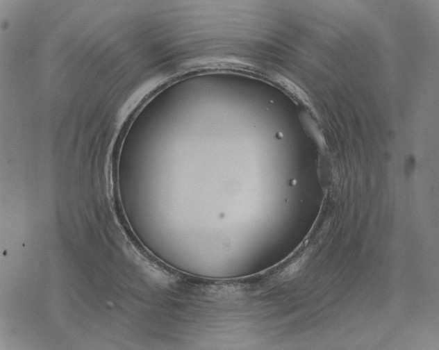 X0000074261082200609081730