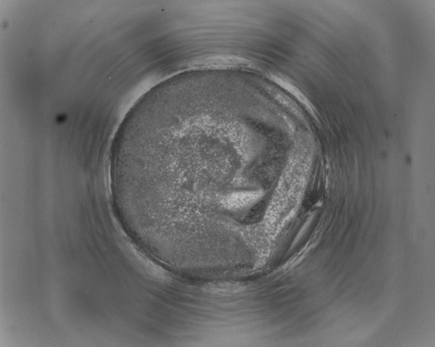 X0000074261083200609081730