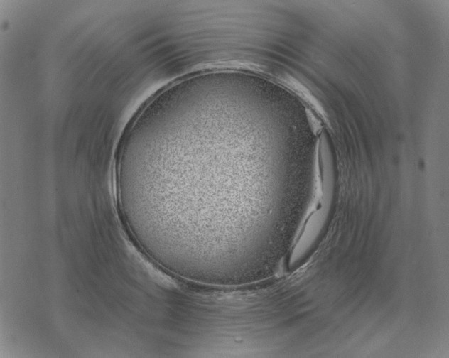 X0000074261084200609081730