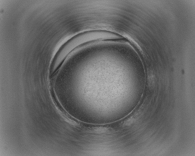 X0000074261085200609081730