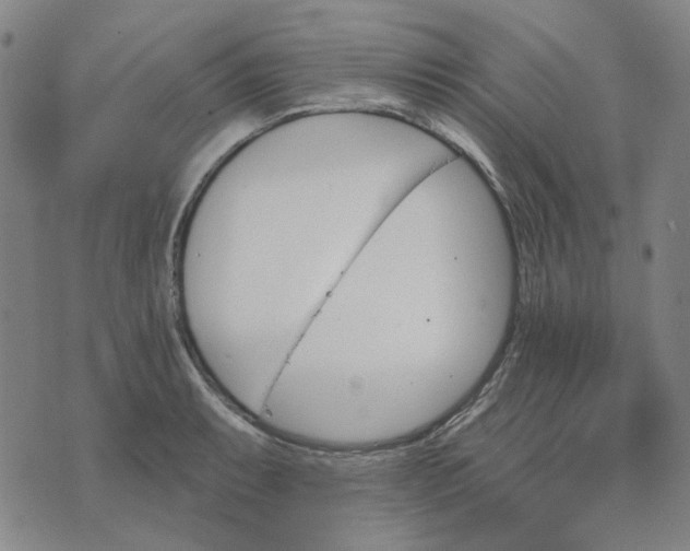 X0000074261087200609081730