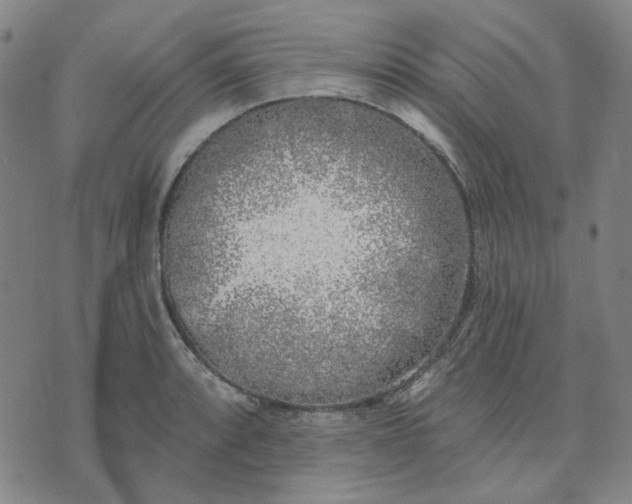 X0000074261088200609081730