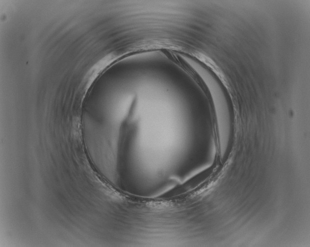 X0000074261089200609081730