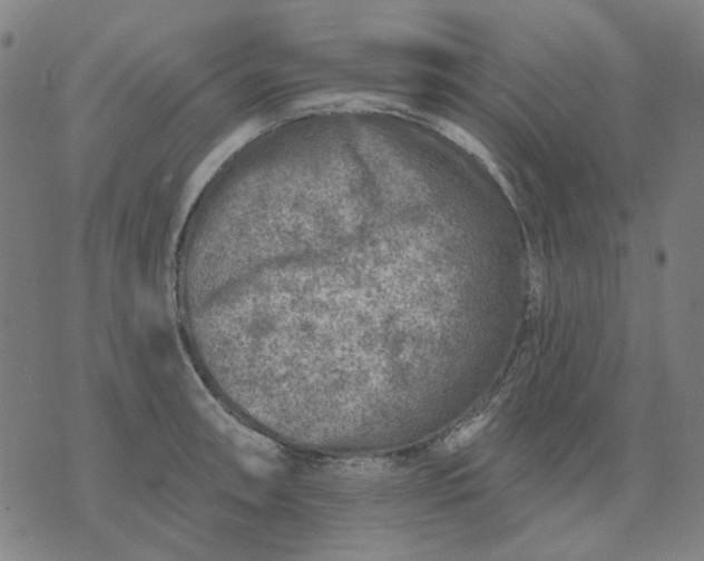 X0000074261090200609081730