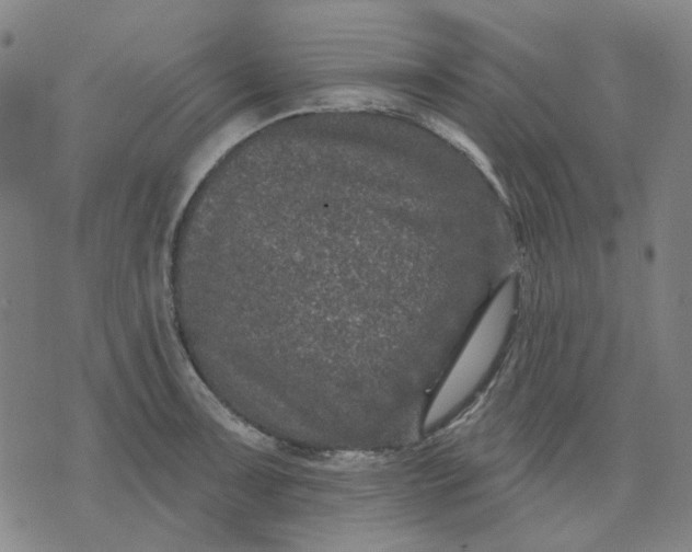 X0000074261091200609081730