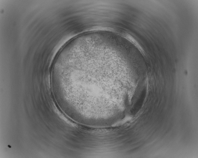 X0000074261092200609081730