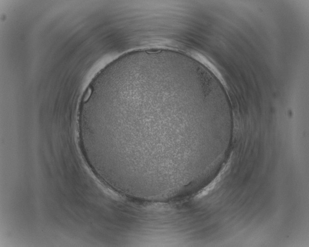 X0000074261093200609081730