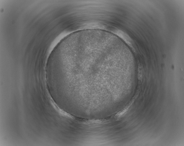 X0000074261094200609081730