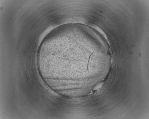 X0000074261096200609081730